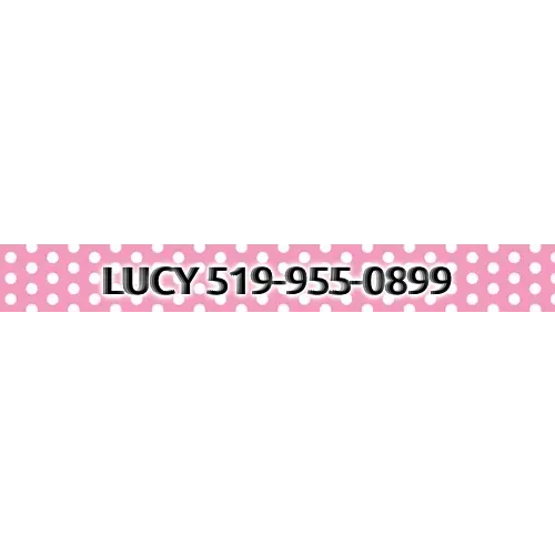 Personalized New Pink Polka Dot Dog Collar